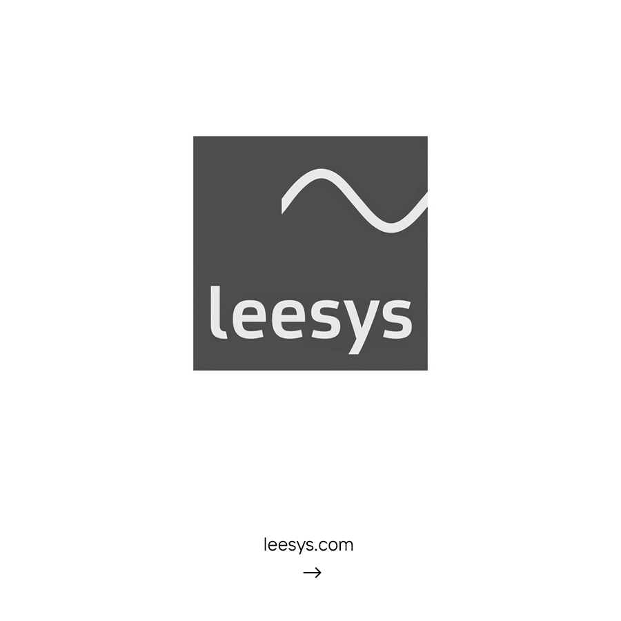Leesys, Leipzig Electronic Systems